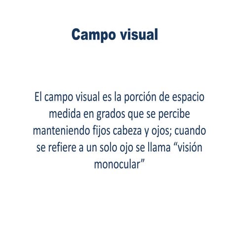 Campo visual