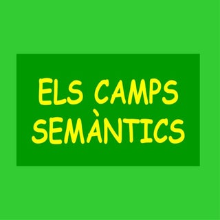 camps semàntics