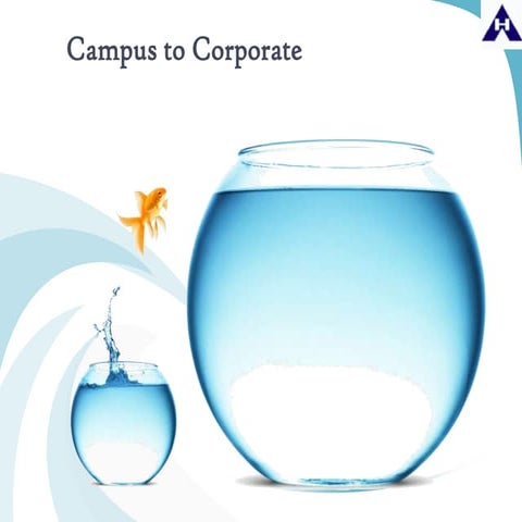 Campus 2 corporate (1)