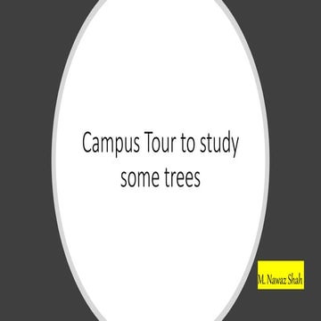 Diversity among plants