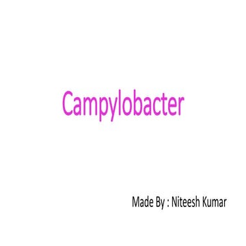 Campylobacter