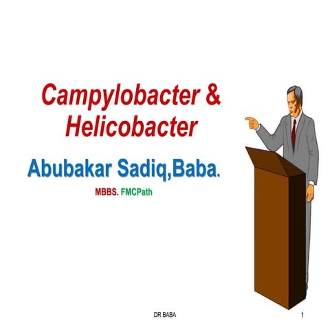 CampylobacterHelicobacter.pdf medical microbiology