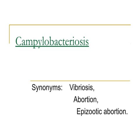 Campylobacteriosis