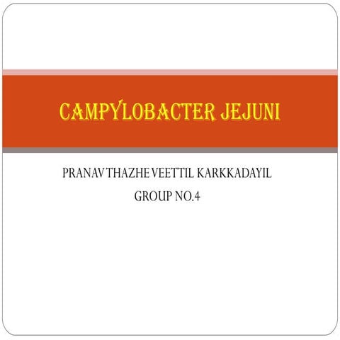 Campylobacter jejuni