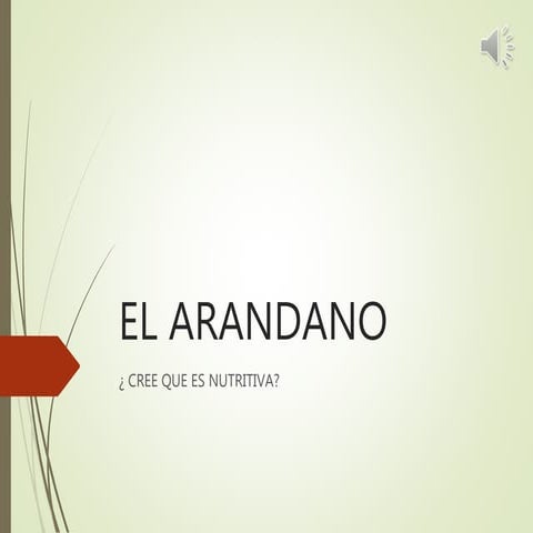 el arandano