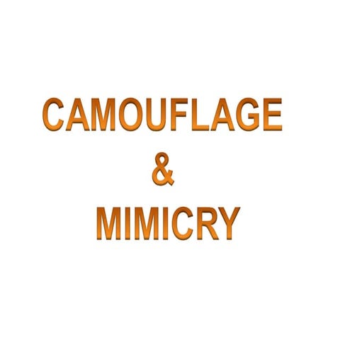 Camuflaje