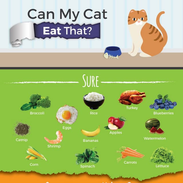 Can my cat eat that?