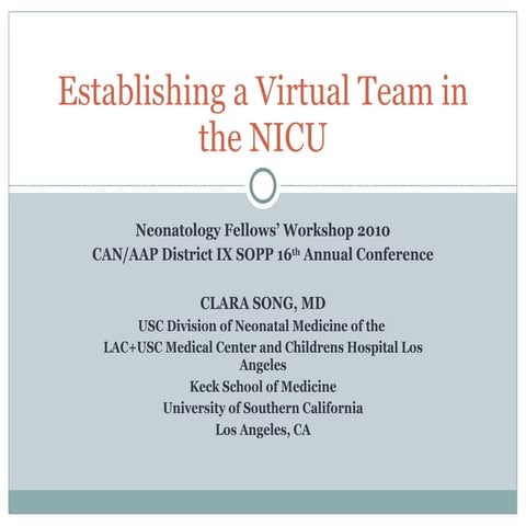 Establishing a Virtual Team in the NICU