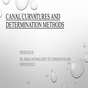Canal curvatures and determination method final