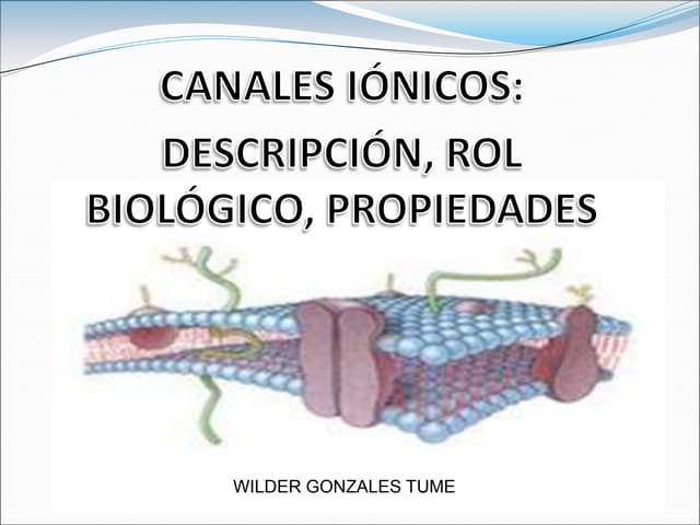 Canales ionicos  