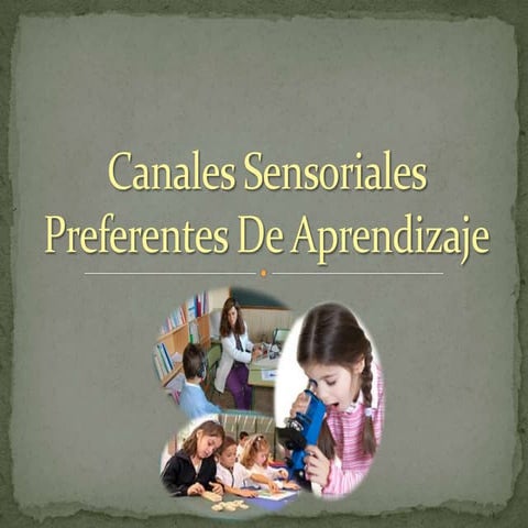 Canales sensoriales preferentes de aprendizaje