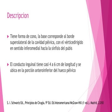 anatomia de canal inguinal .pptx