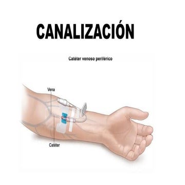 canalizacin-220911231102-bbdf7f0f.pdf