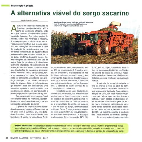 A alternativa viável do sorgo sacarino