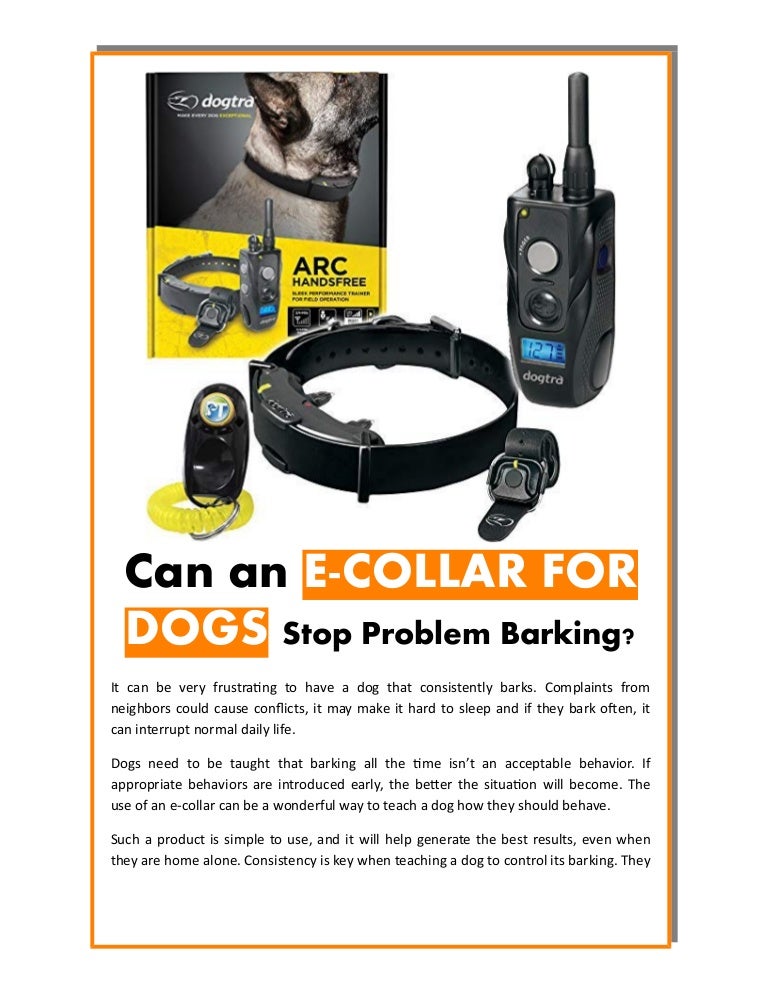 Can an e collar for dogs stop problem barking