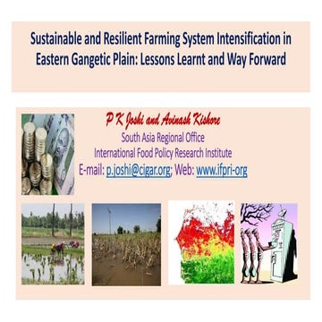 IFPRI - Sustainable and Resilient Farming System Intensification in Eastern G...