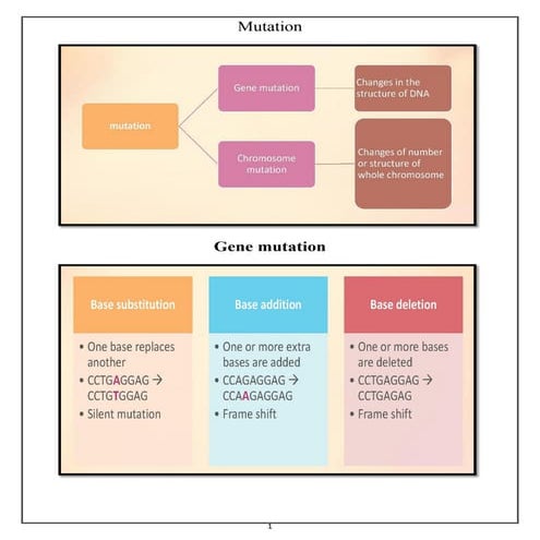 Gene mutation & Chromosomal Mutations 