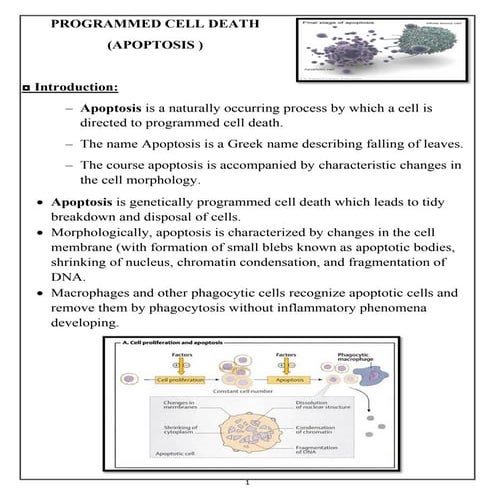 PROGRAMMED CELL DEATH (APOPTOSIS ) 