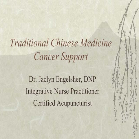 Traditional Chinese Medicine Cancer Support