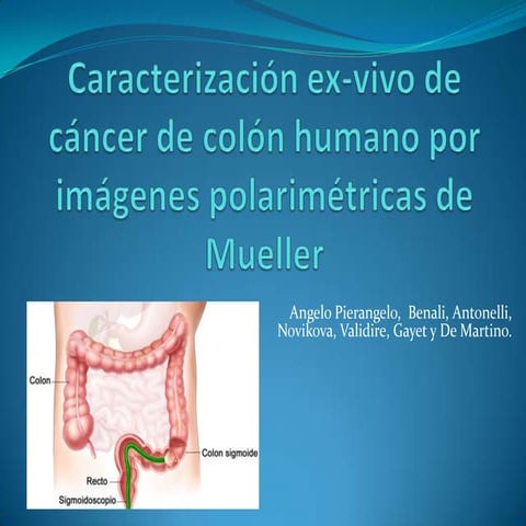 INTERACCIÓN ENTRE LAS CÉLULAS NEOPLÁSICAS Y LA MATRIZ EXTRACELULAR | PPTX