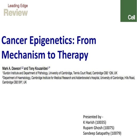 Cancer epigenetics 