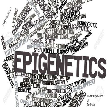 Cancer epigenetics