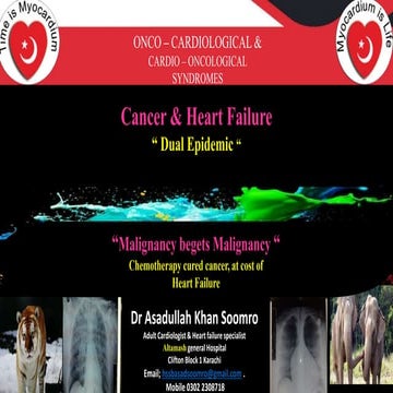 Cancer & Heart. Cardio oncological syndromes