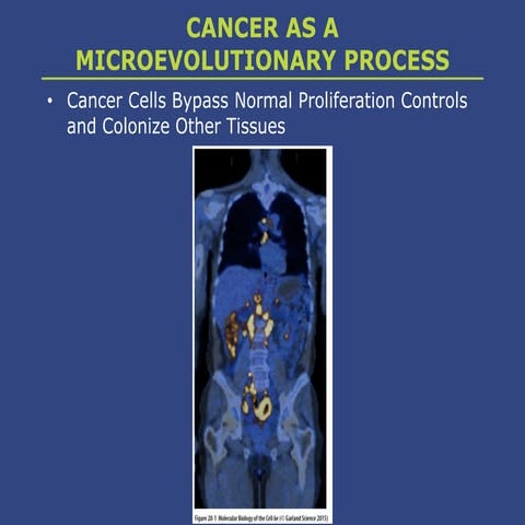 Fibroblast growth factors | PPTX