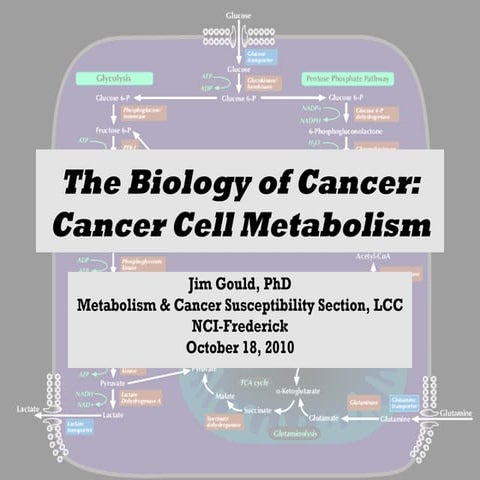 Cancer metabolism lecture, Hood College (10-18-10)