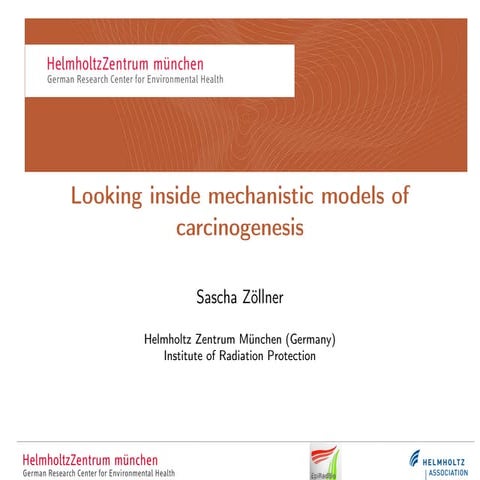 Looking Inside Mechanistic Models of Carcinogenesis