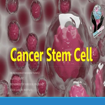 Cancer Stem Cell.pptx