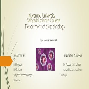 Cancer stem cells | PPTX