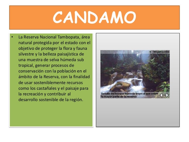 Candamo