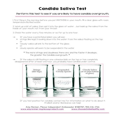 Candida test | PDF