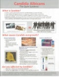 Candida pdf