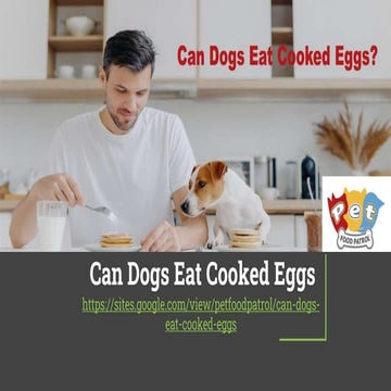 Can Dogs Eat Cooked Eggs