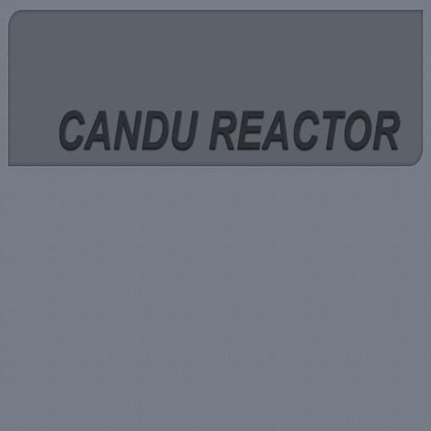 Candu reactor