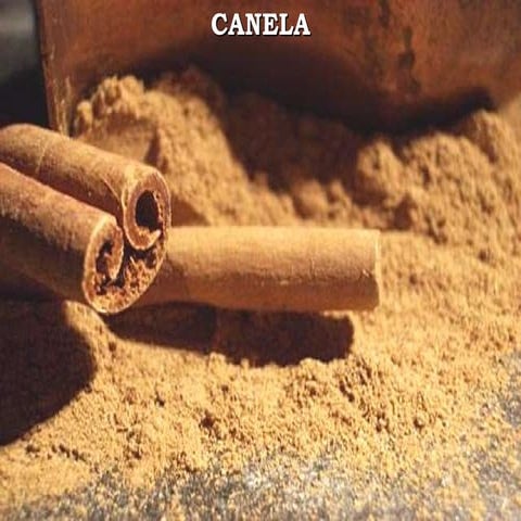 Canela