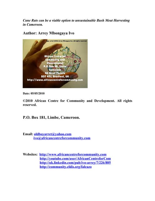 Cane rats can be a viable option to unsustainable bush meat harvesting by arrey mbongaya ivo