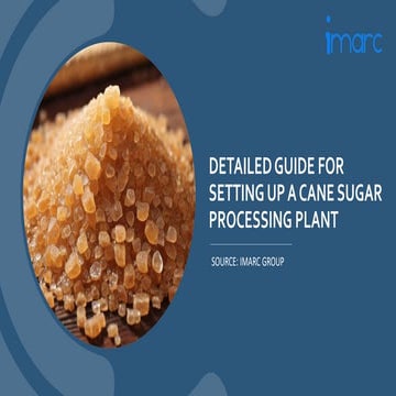 Setting Up a Successful Cane Sugar Processing Unit: DPR