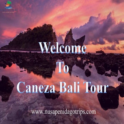 Caneza bali tour | PPTX