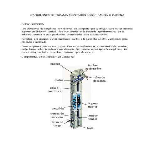 Cangilones de escama montados sobre banda o cadena (recuperado automáticamente)