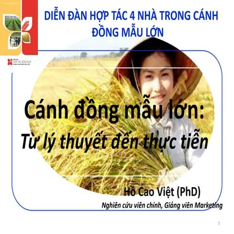 Large scale Rice farming in Mekong River Delta