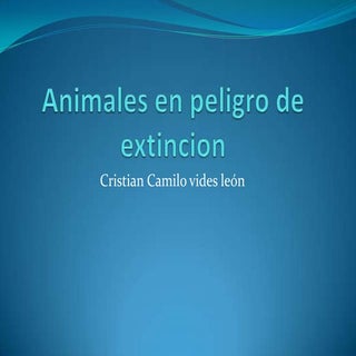 animales en peligro de extincon