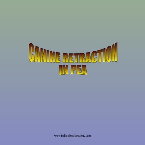 Canine retraction