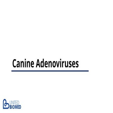 Canine  Adenoviruse-2 Presentation in Pet Animals
