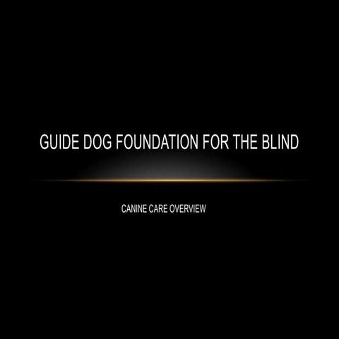 Canine care operations overview