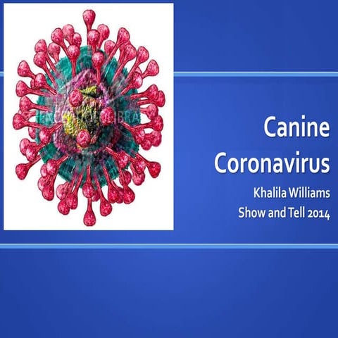 Canine coronavirus