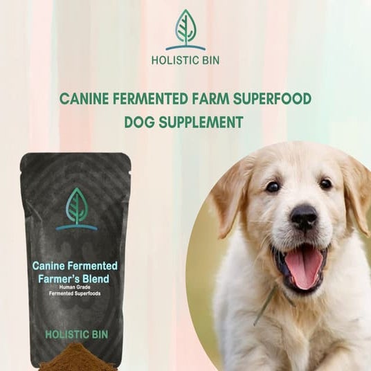 Snapshot of Canine Arthritis Treatment With Fermented Dog Food