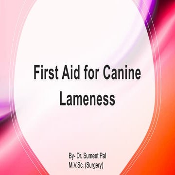 Beautiful view of Treatment For Worsening Canine Front Leg Lameness